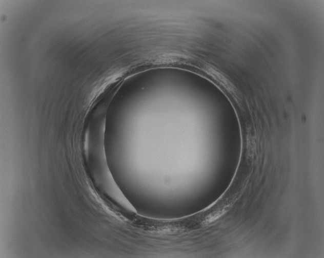 X0000062830485200601201616