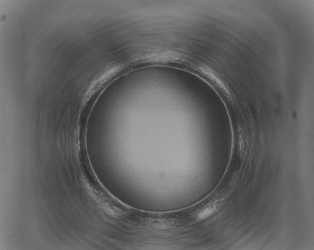 X0000062830486200601201616