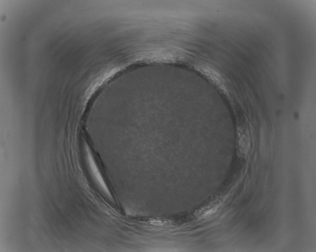 X0000062830487200601201616