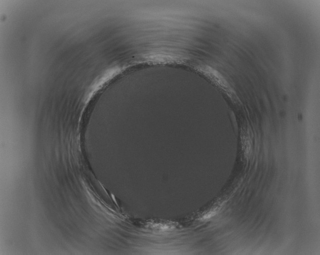 X0000062830488200601201616