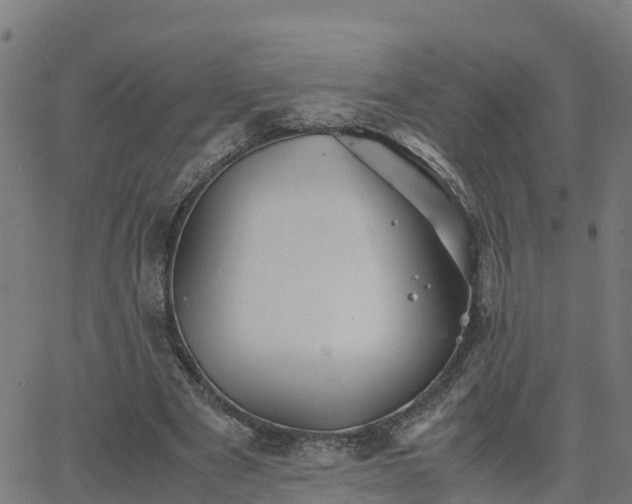 X0000062830489200601201616