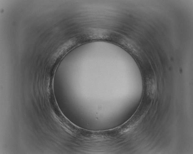 X0000062830490200601201616