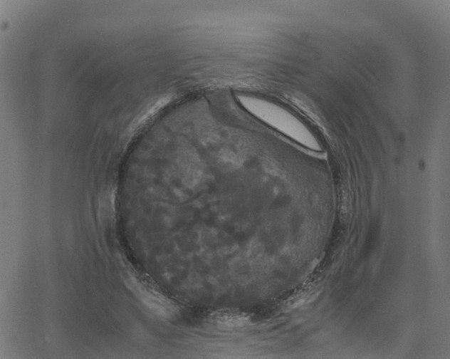 X0000062830491200601201616