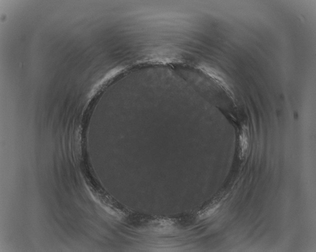 X0000062830492200601201616