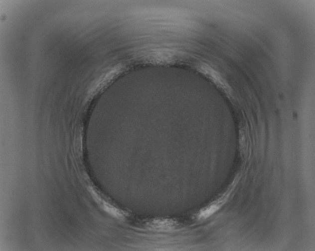 X0000062830493200601201616