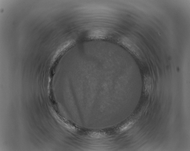 X0000062830494200601201616