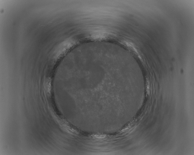 X0000062830495200601201616