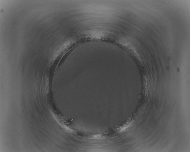 X0000062830496200601201616