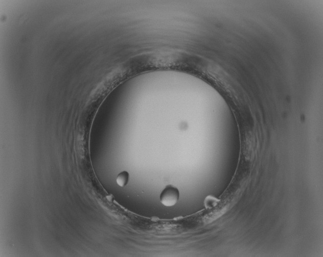 X0000062830497200601201616