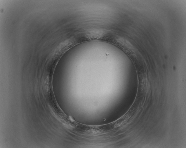 X0000062830498200601201616