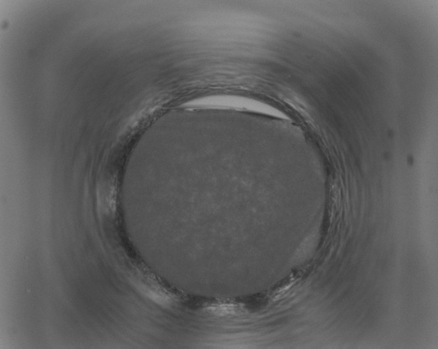 X0000062830499200601201616