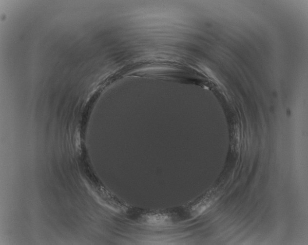 X0000062830500200601201616