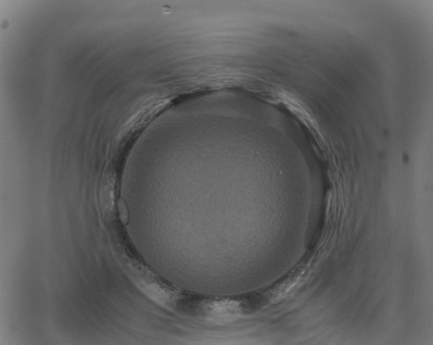 X0000062830501200601201616