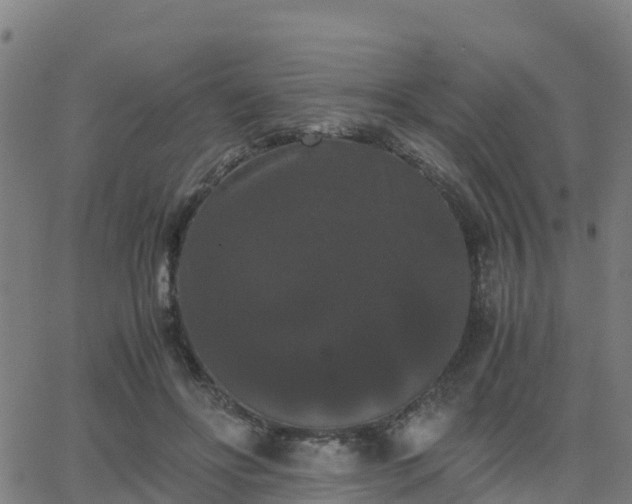 X0000062830502200601201616