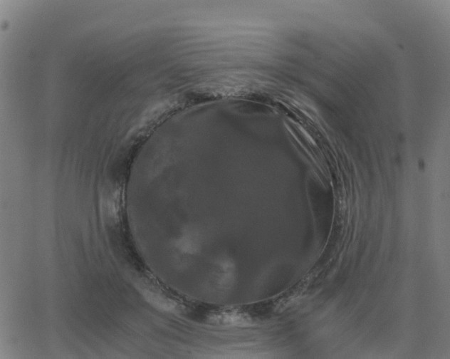 X0000062830503200601201616