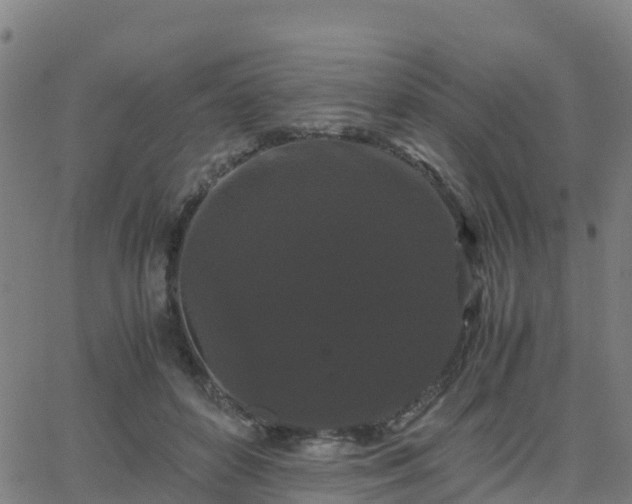 X0000062830504200601201616