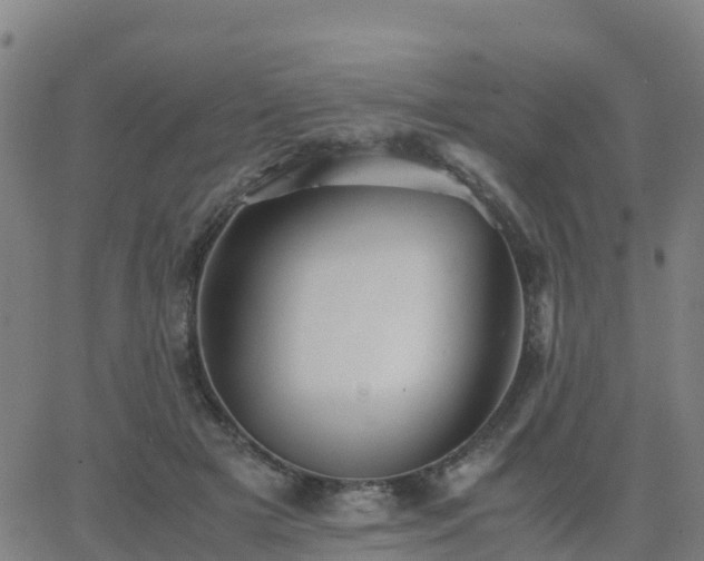 X0000062830505200601201616