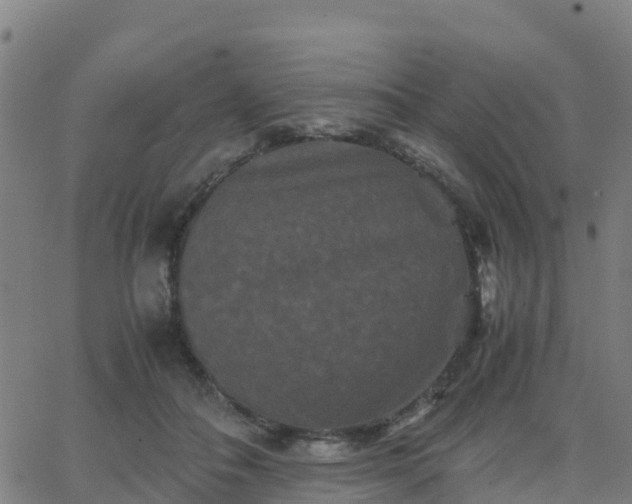 X0000062830506200601201616