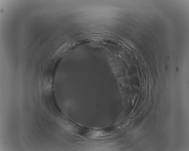 X0000062830507200601201616