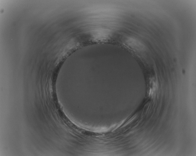 X0000062830508200601201616