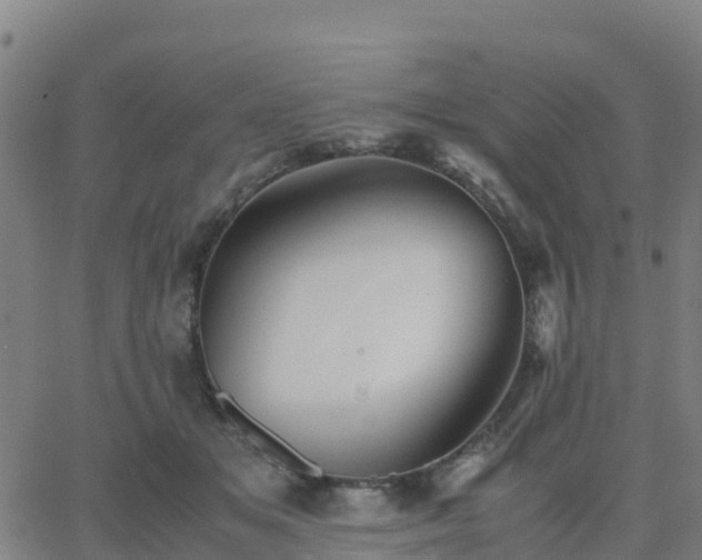 X0000062830509200601201616