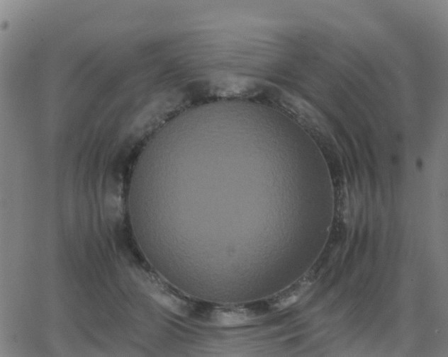 X0000062830510200601201616