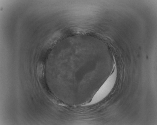 X0000062830511200601201616