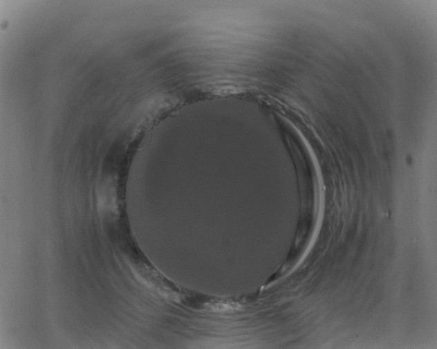 X0000062830512200601201616