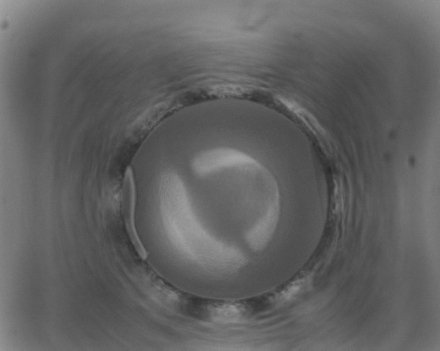 X0000062830513200601201616