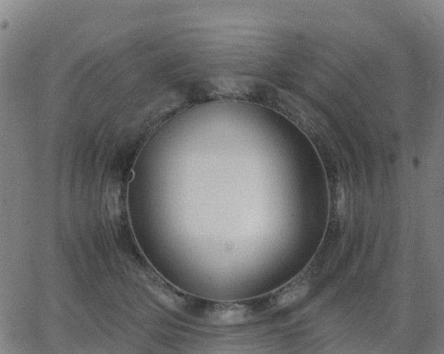 X0000062830514200601201616