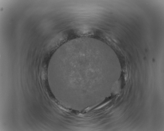 X0000062830515200601201616