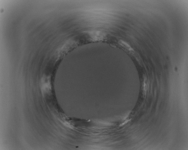 X0000062830516200601201616