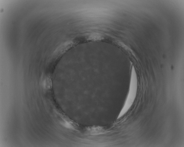 X0000062830517200601201616