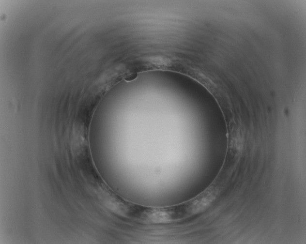 X0000062830518200601201616