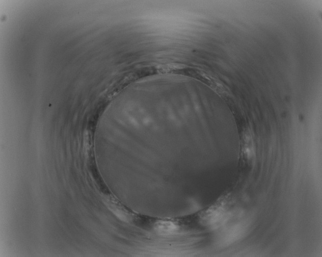 X0000062830519200601201616