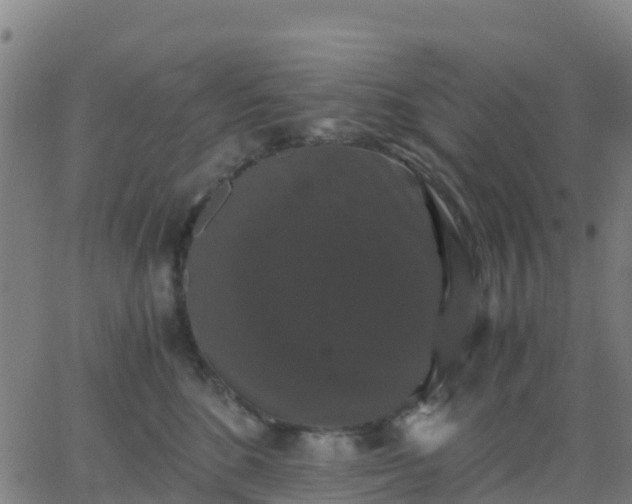 X0000062830520200601201616