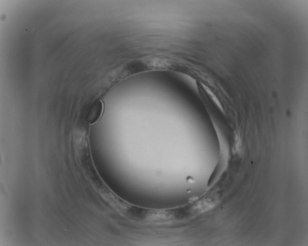 X0000062830521200601201616