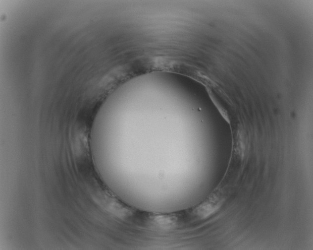 X0000062830522200601201616