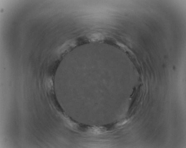 X0000062830523200601201616