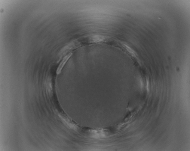 X0000062830524200601201616