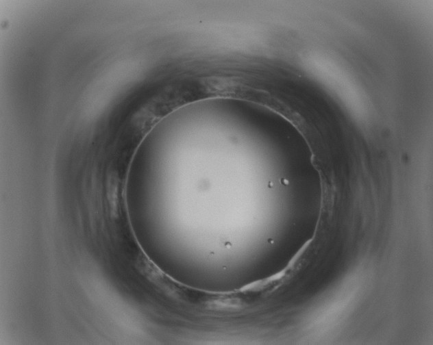 X0000062830525200601201616