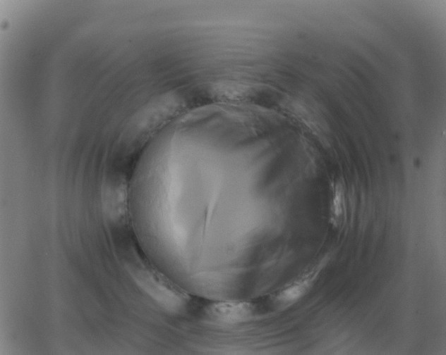 X0000062830526200601201616