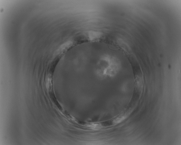 X0000062830527200601201616