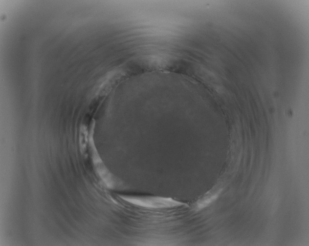 X0000062830528200601201616