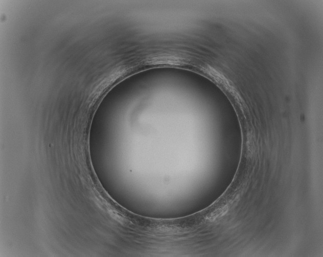 X0000062830529200601201615