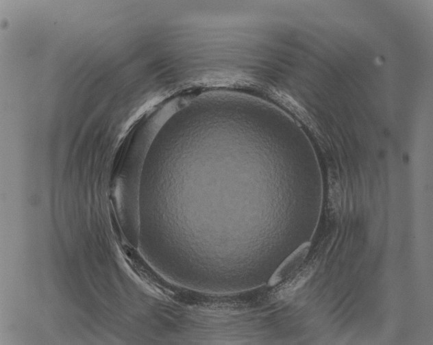 X0000062830530200601201615