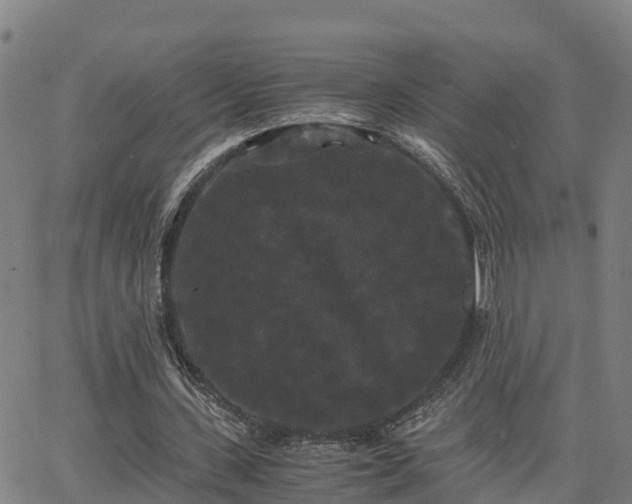 X0000062830531200601201615