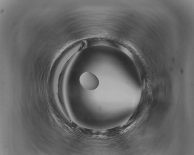 X0000062830532200601201615