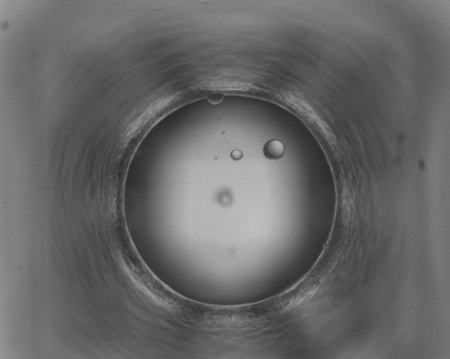 X0000062830533200601201615