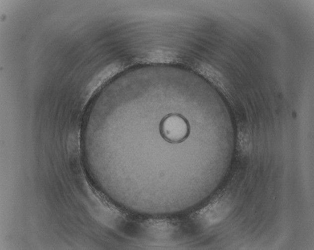 X0000062830534200601201615